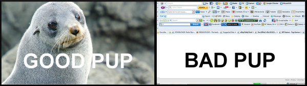 Survey: Tell Us What You Think About Our PUP Friday Posts