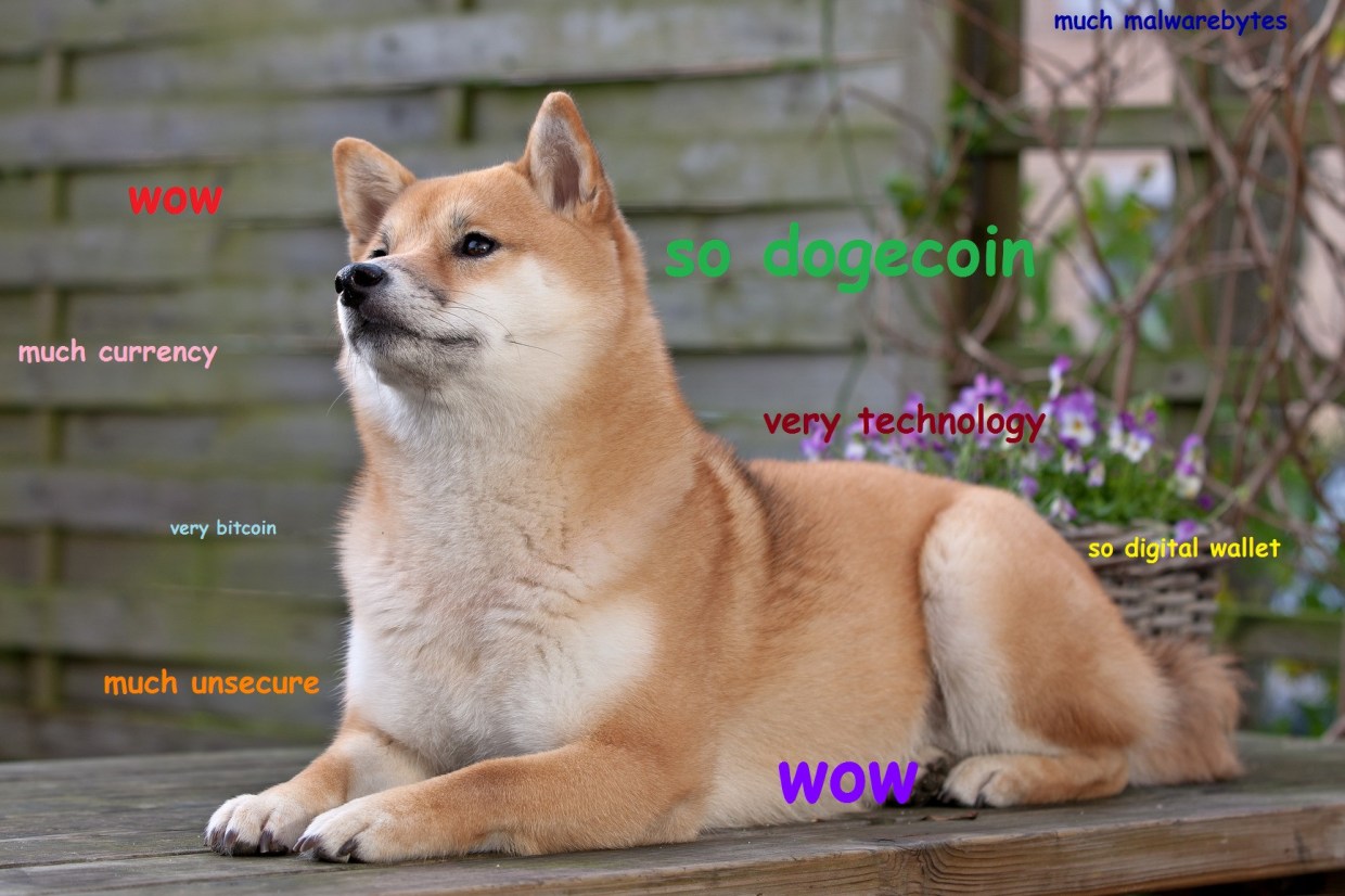 Give a Doge a Coin