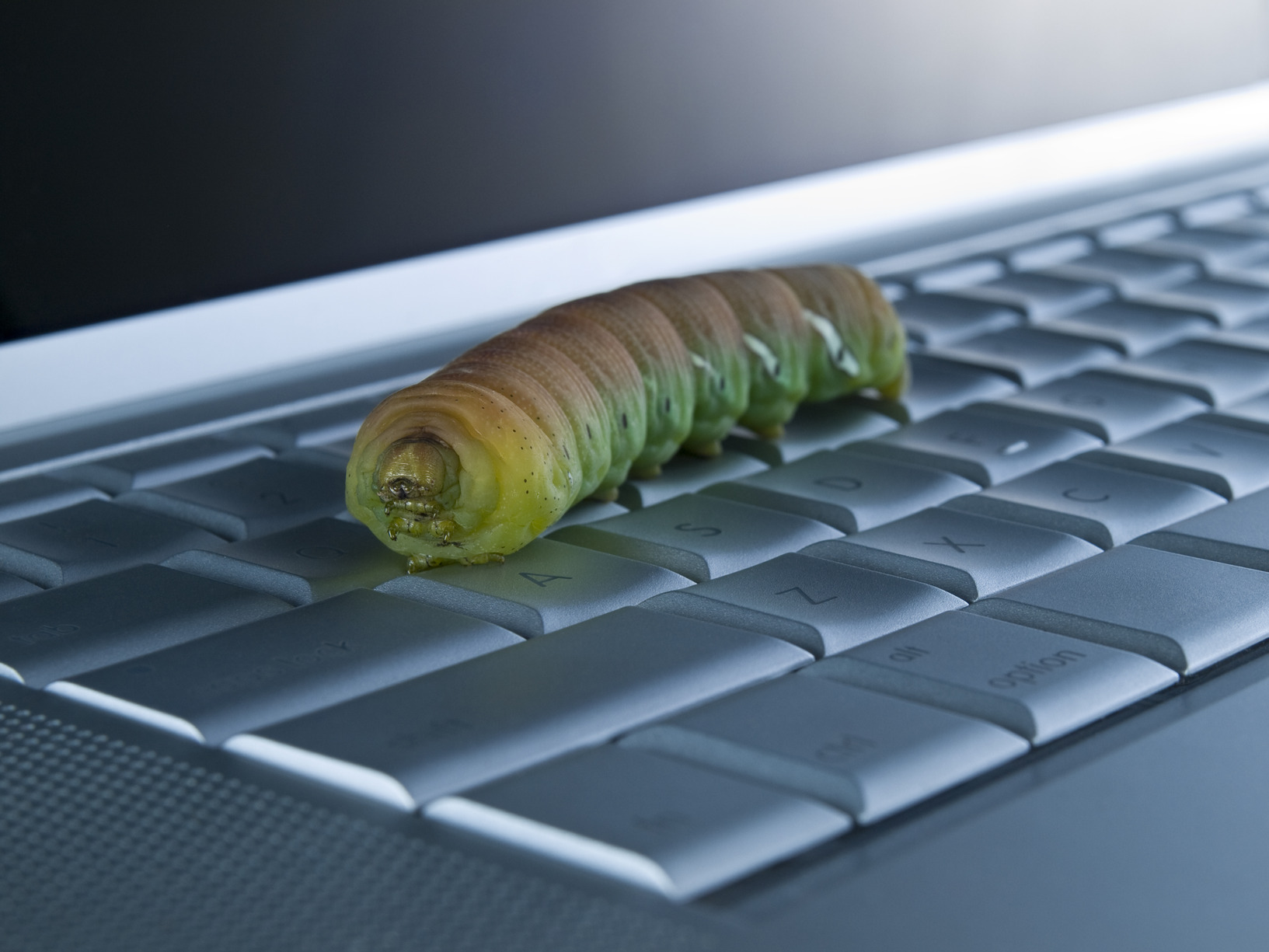 Stock Computer bug