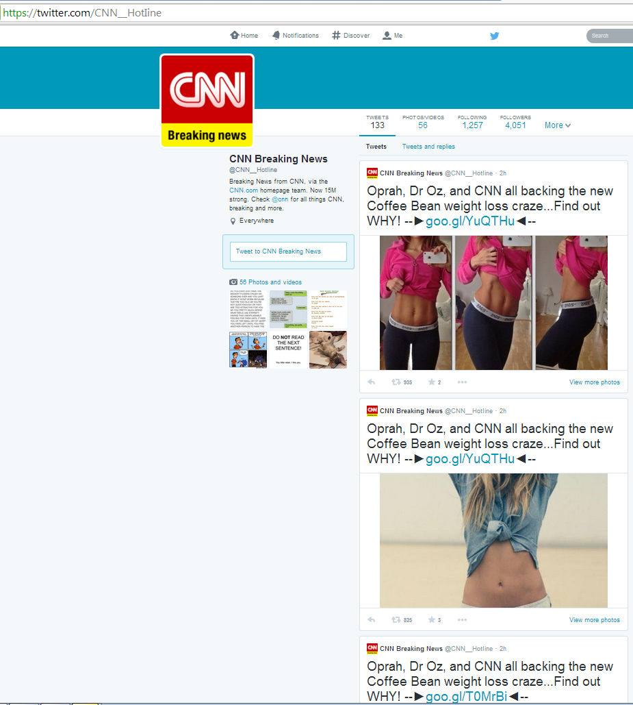 Fake feed