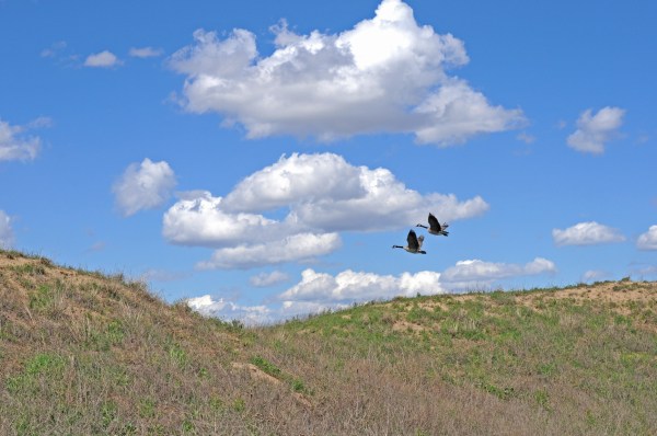 Windows XP, You Have Served Us Well