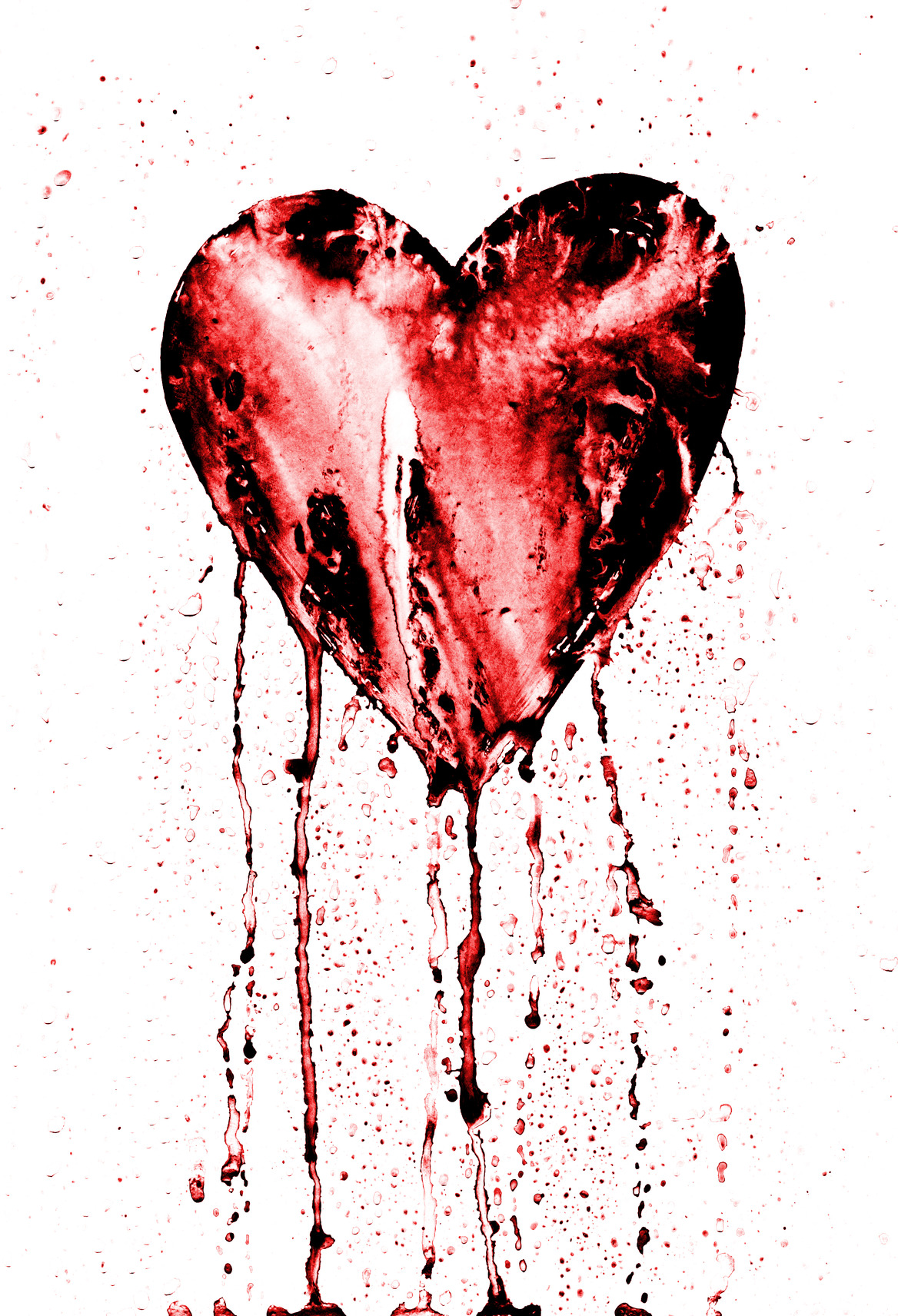 Be Still My Bleeding Heart! Q&A on the HeartBleed Bug