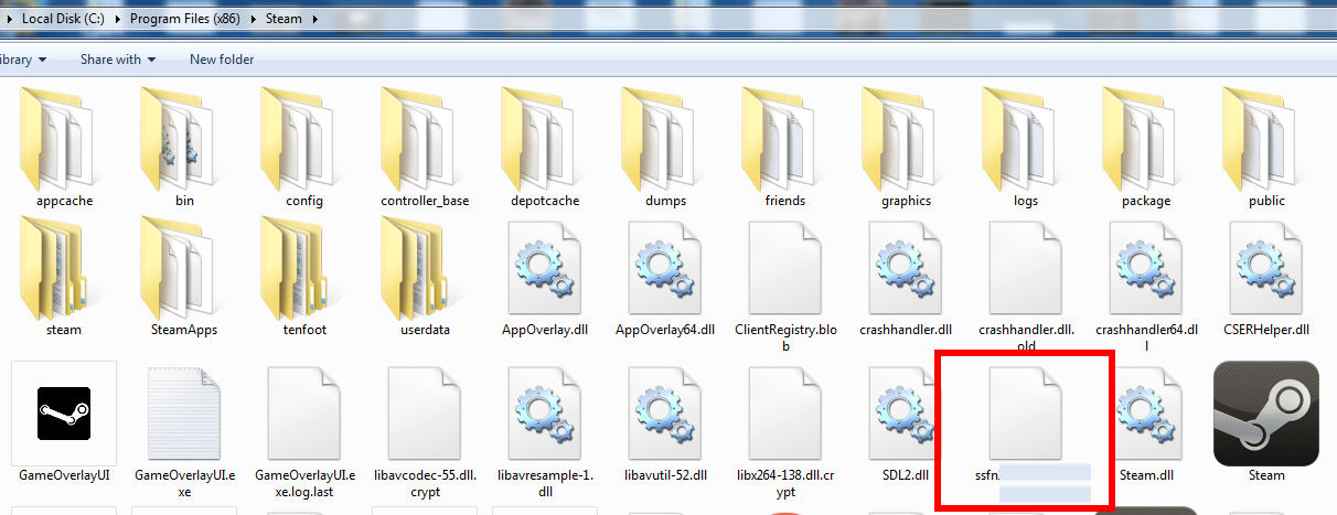 Steam folder