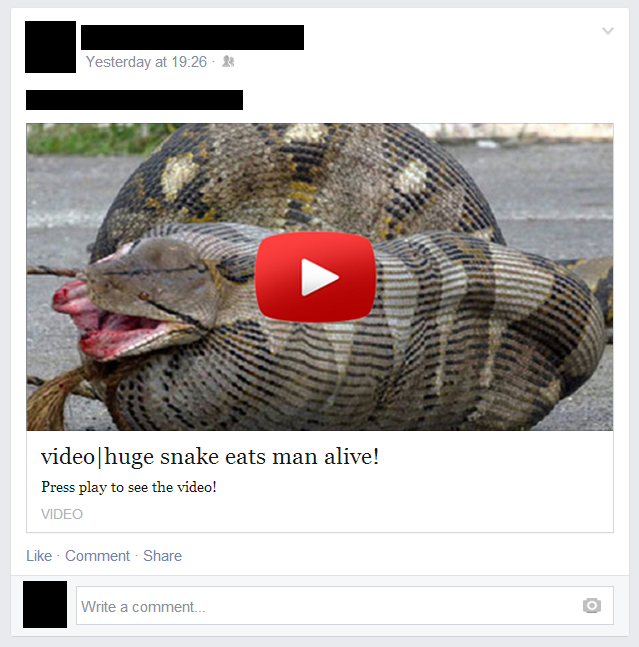 Snake  Facebook