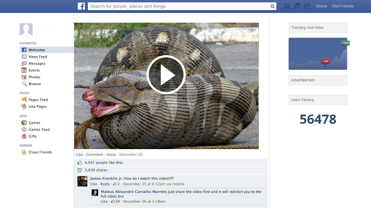 Snake  Facebook