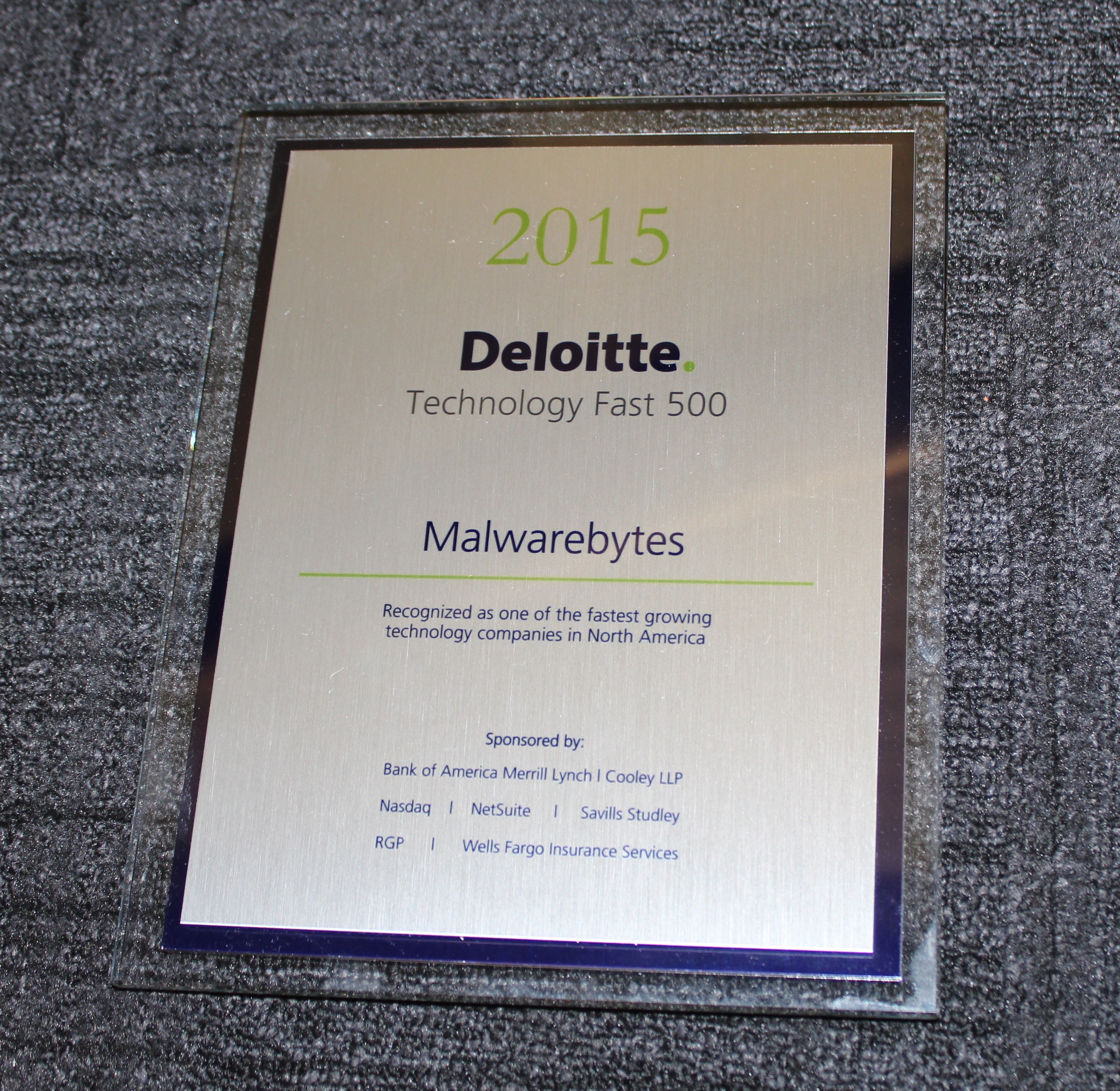 Deloitte Tech Fast 500 Award