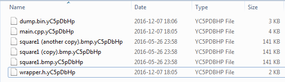 encrypted_files