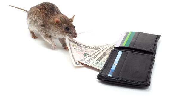 Don't enter your recovery phrase! Phishers target Ledger crypto-wallet users