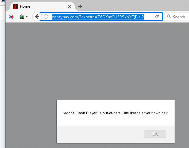 Outdated Flash popup