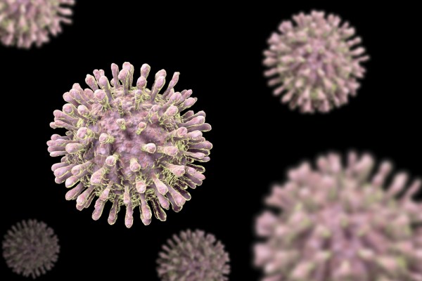 Our computers, ourselves: digital vs. biological security