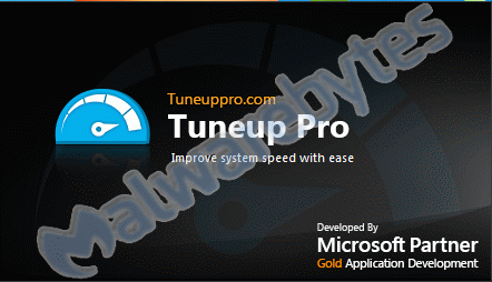 Gold Partner Tuneup