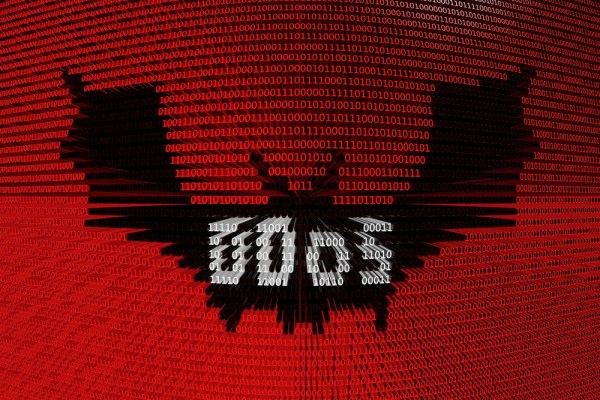 DDoS attacks are growing: What can businesses do?