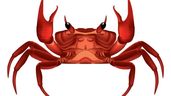 Magnitude exploit kit switches to GandCrab ransomware