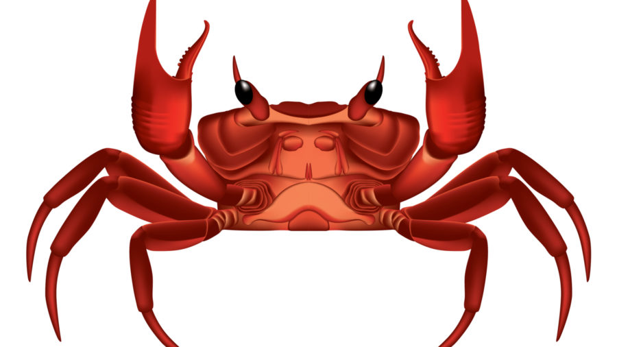 Magnitude exploit kit switches to GandCrab ransomware