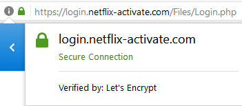 fake netflix