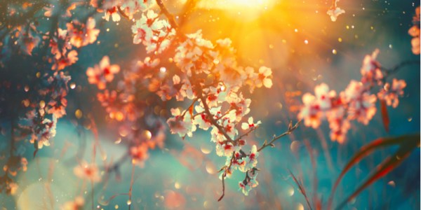 Exploit kits: Spring 2018 review