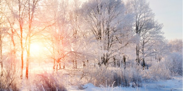 Exploit kits: winter 2019 review