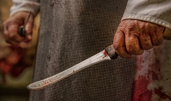 JBS says it is recovering quickly from a ransomware attack