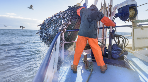 Microsoft warns about phishing campaign using open redirects