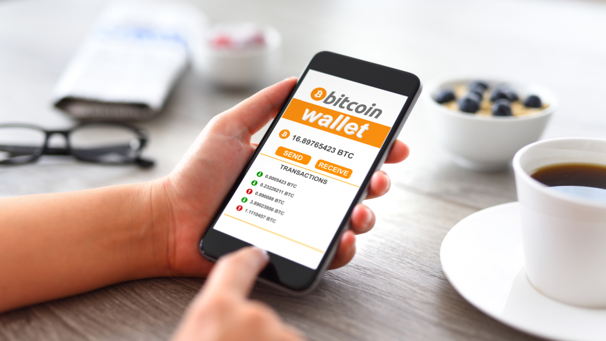 Cold wallet, hot wallet, or empty wallet? What is the safest way to store  cryptocurrency?