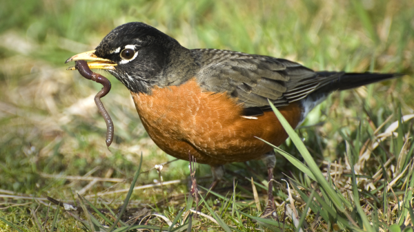 Home routers are being hijacked using vulnerability disclosed just 2 days ago