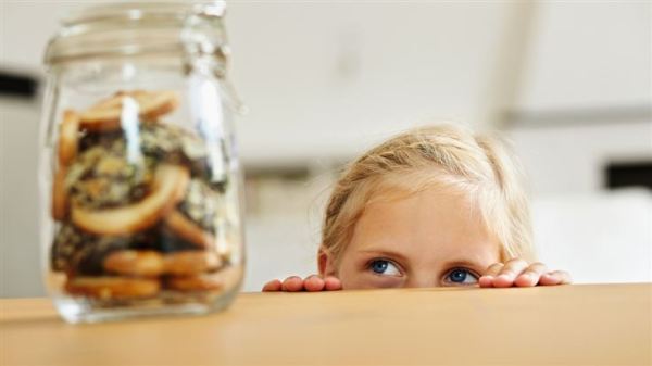 What are computer cookies?