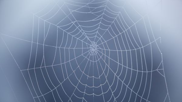 FoggyWeb, analysis of a Nobelium backdoor