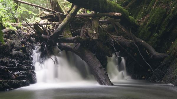 What SMBs can do to protect against Log4Shell attacks