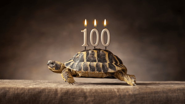 Update now! Google launches Chrome version 100 and fixes 28 vulnerabilities