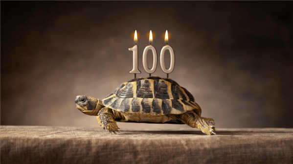 Firefox and Chrome reaching major versions 100 may break some websites