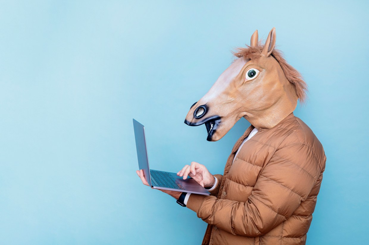 Horse man working with laptop on blue background