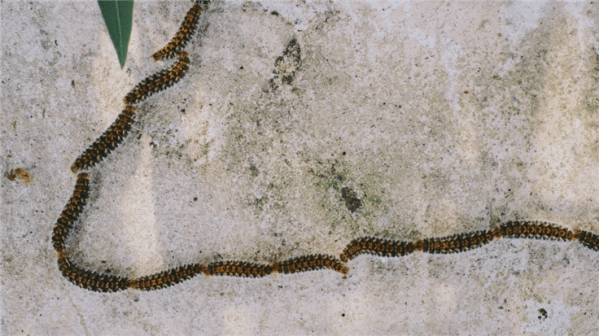 Gmail-linked Facebook accounts vulnerable to attack using a chain of bugs—now fixed