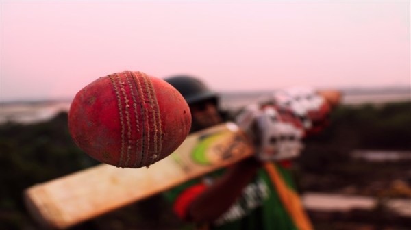 Conceptual cricket shot.