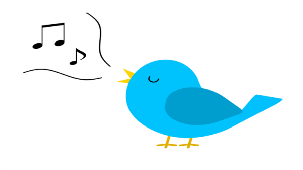 singing blue bird