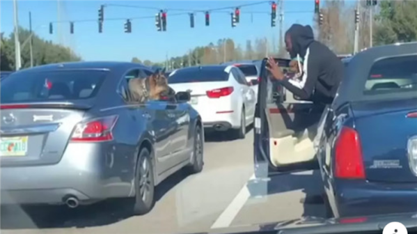 Viral video drives malvertising on social media platform