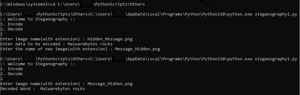 command prompt showing the use of the python script