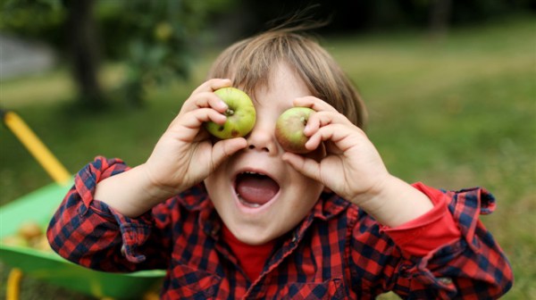 child holding two apples for its eyes