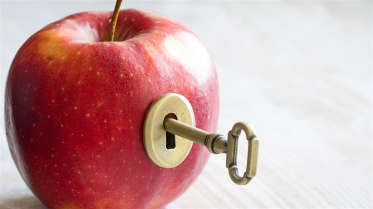 apple with a keyhole and key