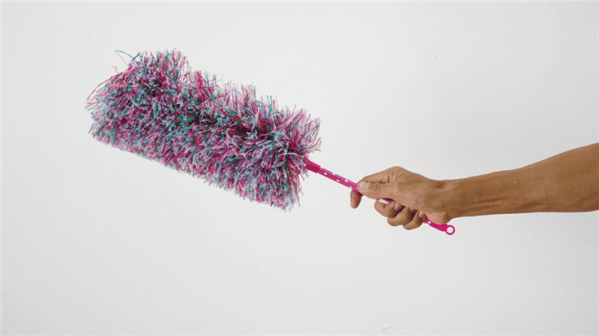 feather duster