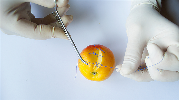 hands in surgical gloves stitching an apple