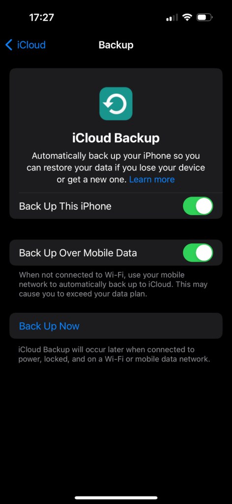 iCloud Backup screen with backup option turned on.