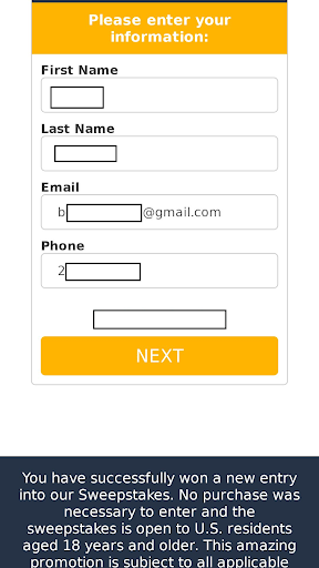 Redacted example of an online phishing form