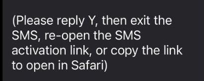 smishing instructions