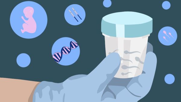 sperm bank information