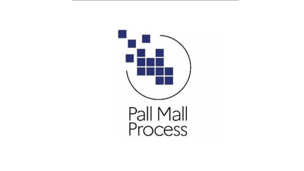 Pall Mall Proces logo