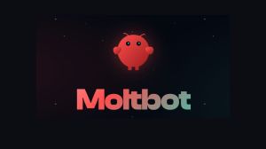 Moltbot