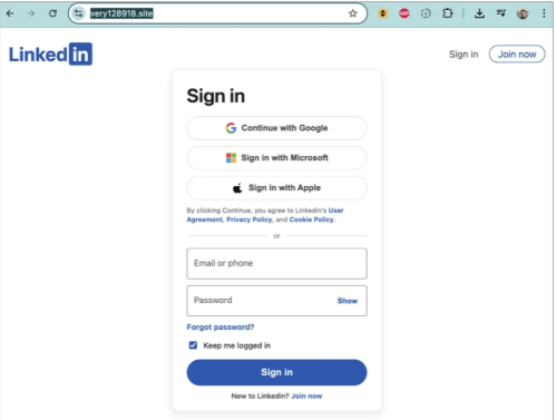 fake LinkedIn log in site