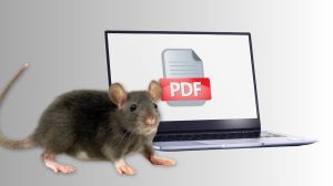 PDF and RAT