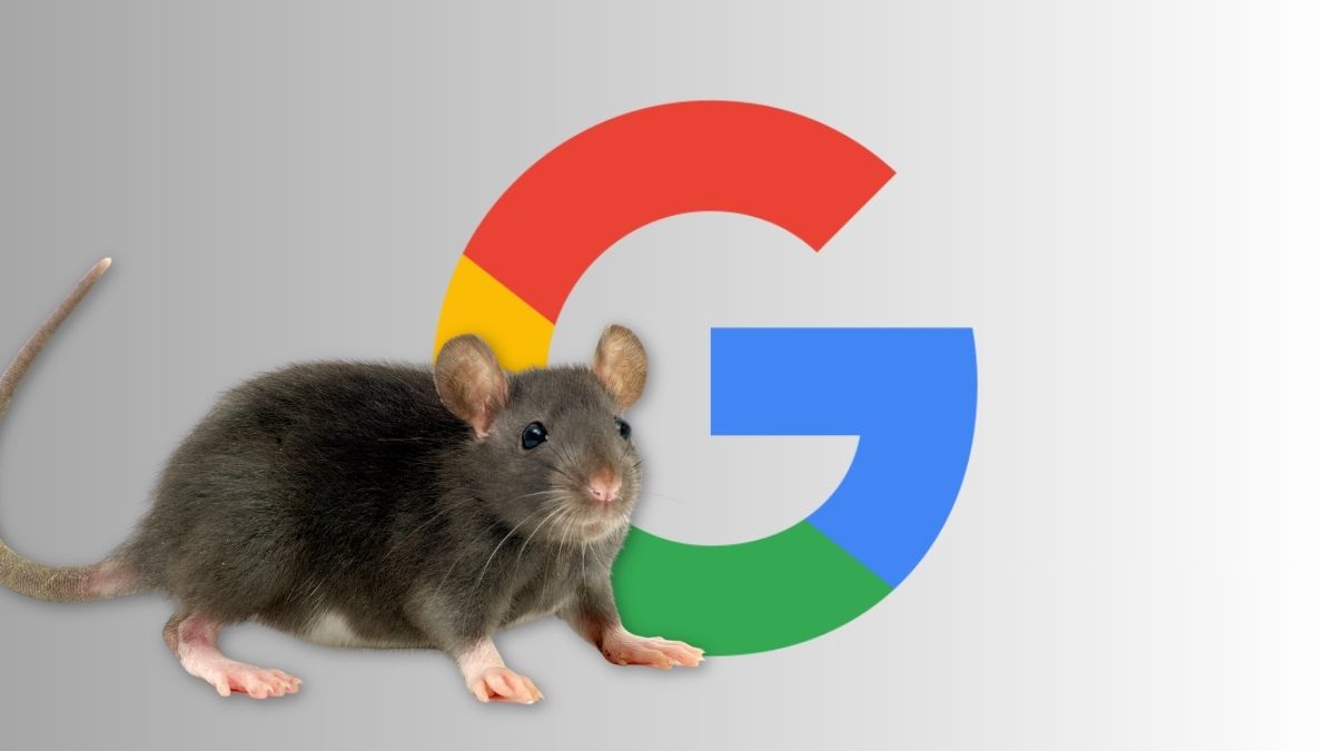 Google logo with a rat