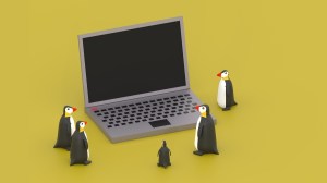 Penguins around a computer